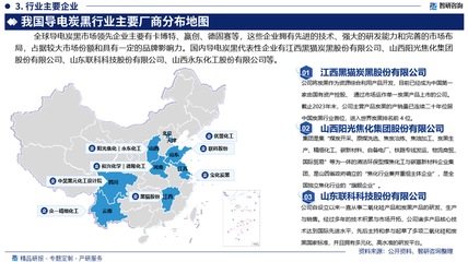 2025-2031年中國(guó)導(dǎo)電炭黑行業(yè)市場(chǎng)研究分析及投資前景研判